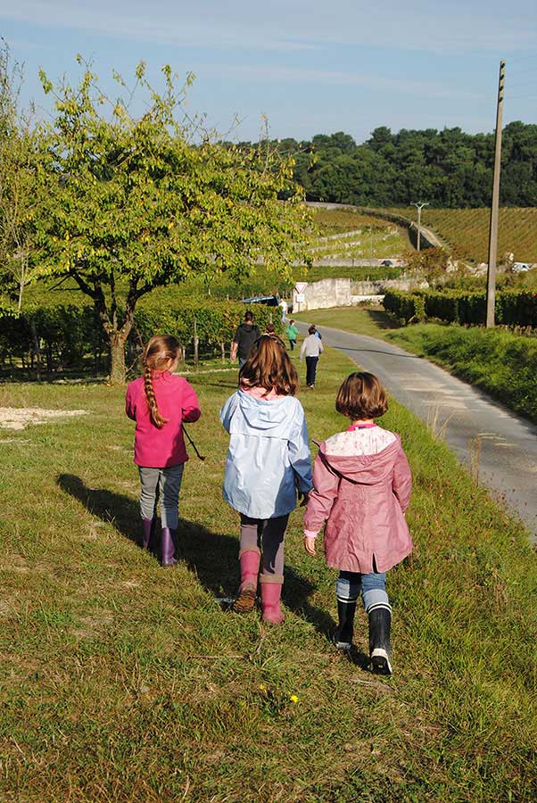 randonnées dans la vigne